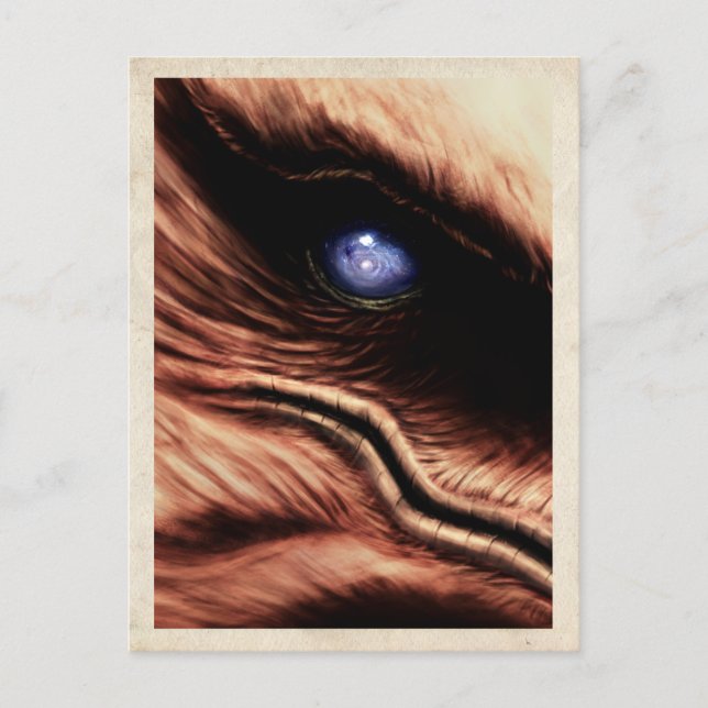 Talon's Eye - Postcard (Front)