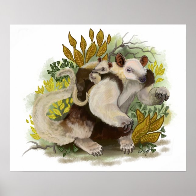 Tamandua Anteater Poster (Front)
