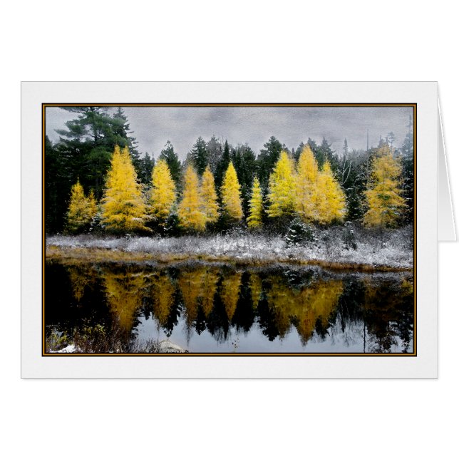 Tamarack Dreams Card (Front Horizontal)