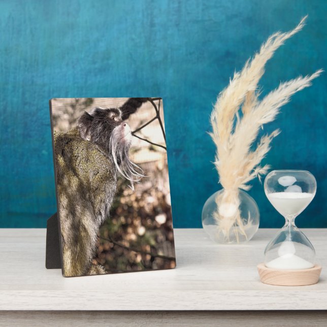 TAMARIN MONKEY   PLAQUE (Side)