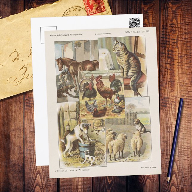 Tame Farm Animal Collection Ephemeral Postcard (Creator Uploaded)