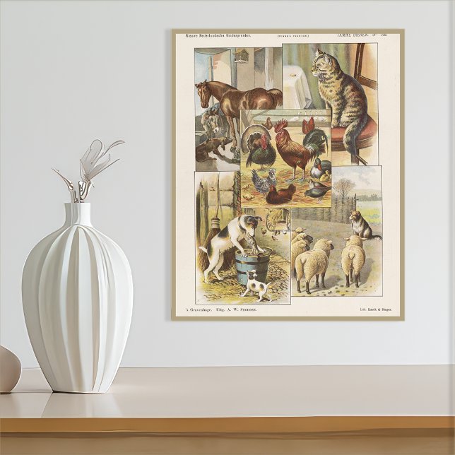 Tame Farm Animal Collection Ephemeral Poster (Creator Uploaded)