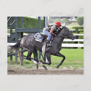 Tammy Fox riding for Dale Romans Postcard