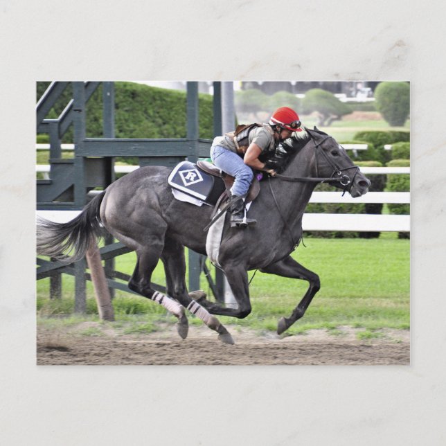 Tammy Fox riding for Dale Romans Postcard (Front)