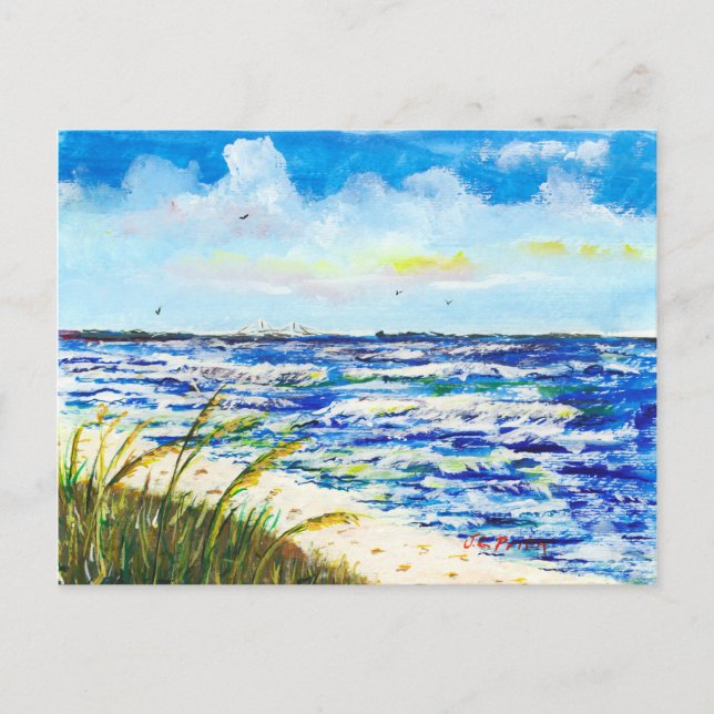 Tampa Bay Florida Beach Sunshine Skyway Bridge Postcard (Front)