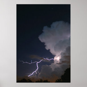 Tampa Bay Lightning Poster