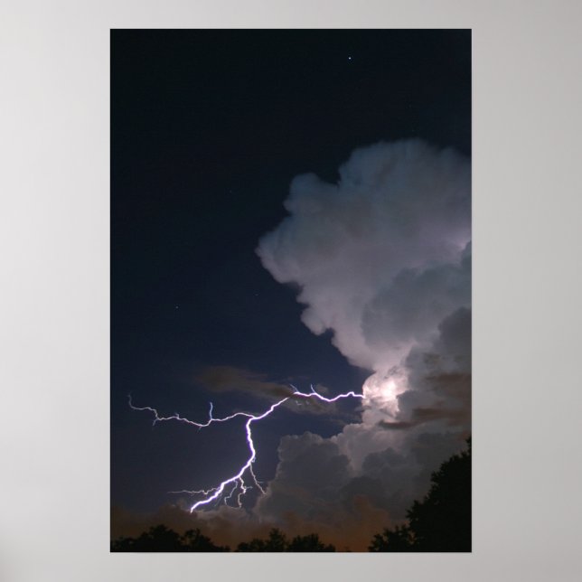 Tampa Bay Lightning Poster (Front)