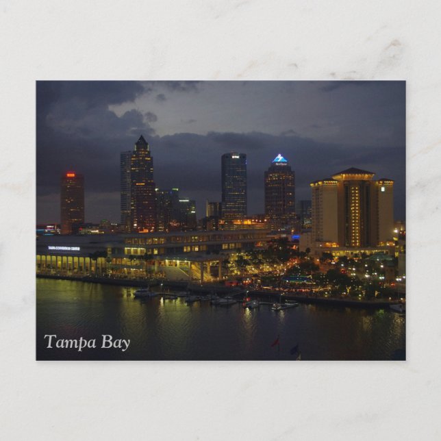 Tampa Bay Night Skyline Postcard (Front)