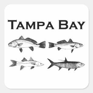 Tampa Bay Saltwater Fishing Square Sticker