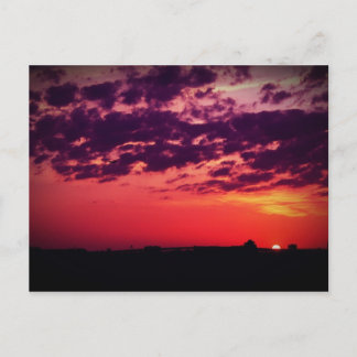 Tampa Bay Sunset Postcard