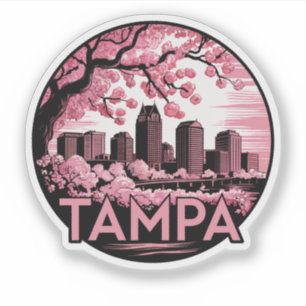 Tampa City Florida USA