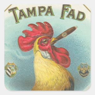Tampa Fad Square Sticker