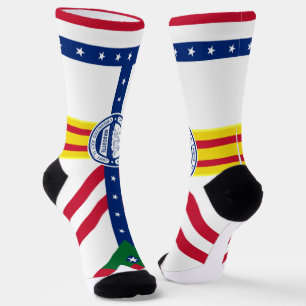 Tampa (Florida) city flag Socks