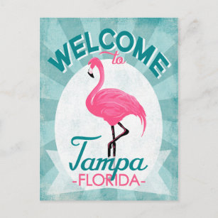 Tampa Florida Pink Flamingo - Vintage Retro Travel Postcard