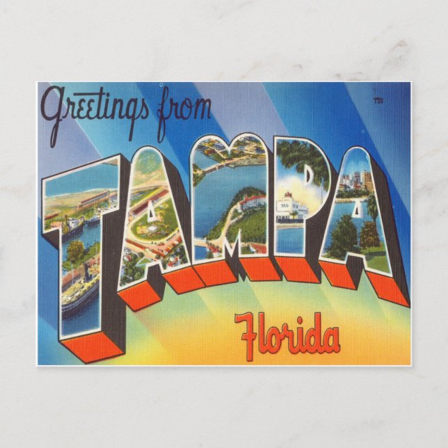 Tampa Florida Postcard (Front)