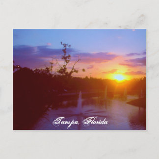 Tampa Florida Postcard