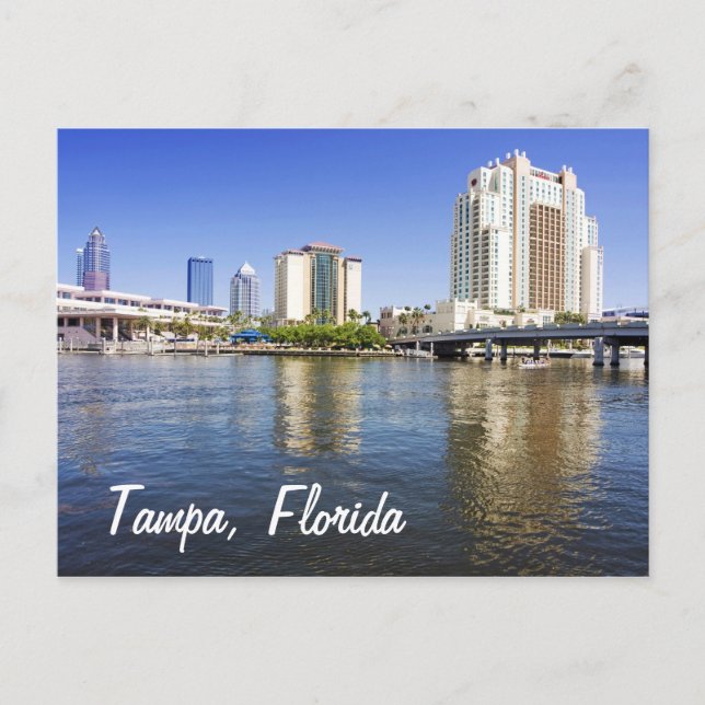 Tampa from Harbour Island Postcard (Front)
