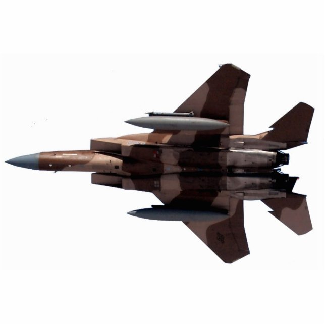 Tan Aggressor F-15 Eagle Standing Photo Sculpture (Front)