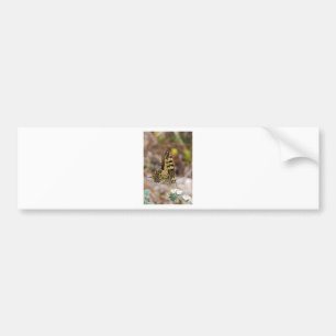 Tan and White Butterfly Bumper Sticker