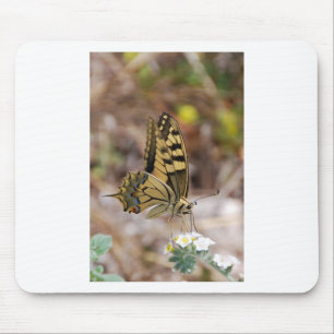 Tan and White Butterfly Mouse Mat