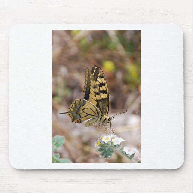 Tan and White Butterfly Mouse Mat (Front)