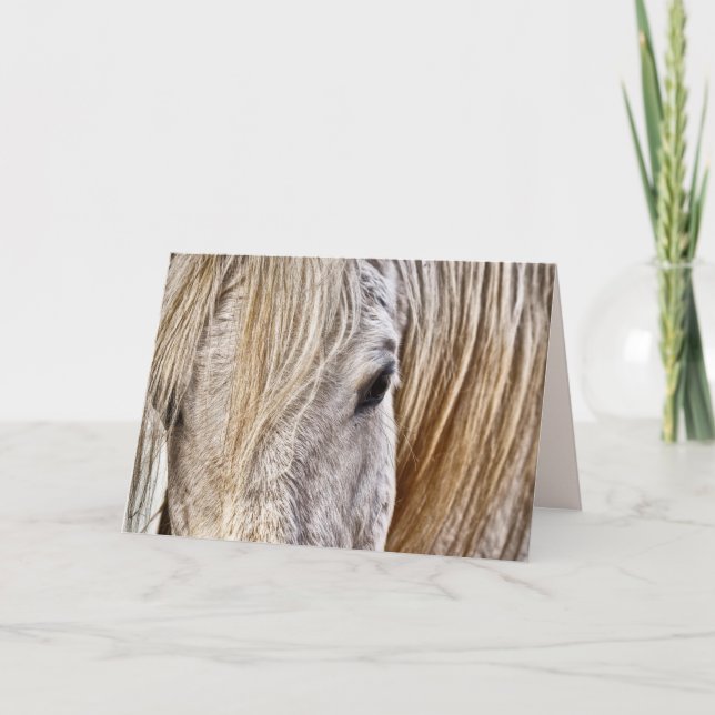 tan barn horse greeting card (Front)