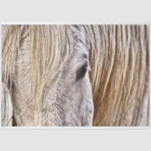 tan barn horse tissue paper