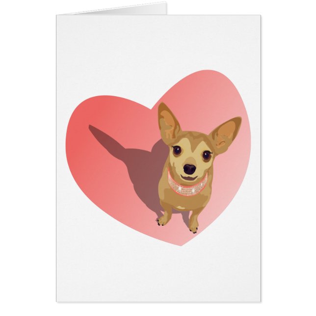 Tan Chihuahua in diamond pink collar in heart (Front)