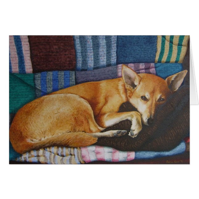 tan colour german shepherd labrador cross breed do (Front Horizontal)