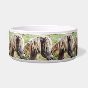 Tan Coloured Shetland Pony,