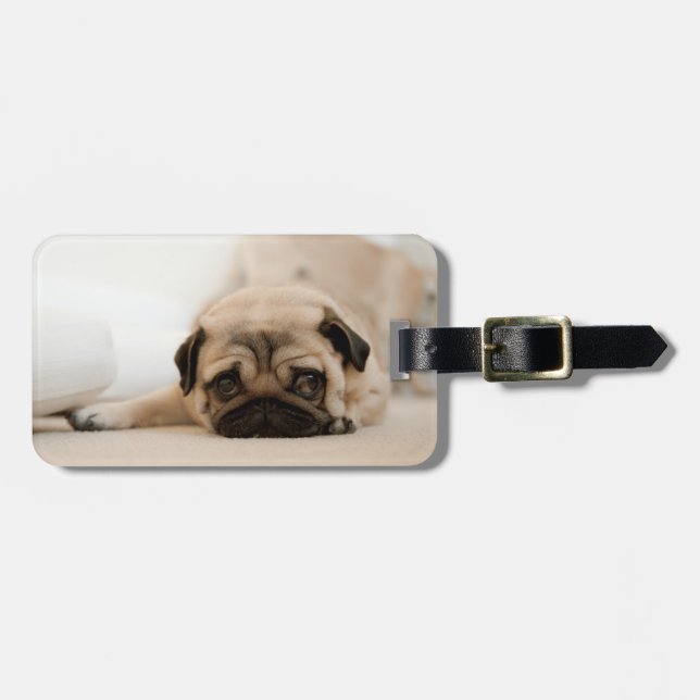 Tan Female Pug Luggage Tag (Front Horizontal)
