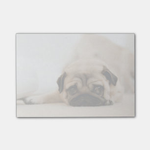 Tan Female Pug Post-it Notes