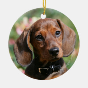 Tan Miniture Dachshund Ceramic Tree Decoration