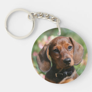 Tan Miniture Dachshund Key Ring