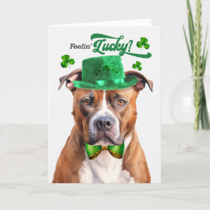 Tan Pit Bull Dog Feelin' Lucky St Patrick's Day Holiday Card