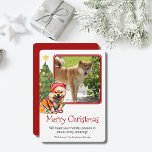 Tan Shiba Inu and Christmas Tree Pet Dog One Photo Holiday Card<br><div class="desc">This cute Shiba Inu themed Christmas card features a tan Shiba wearing a Santa hat sitting in front of a lit Christmas tree. The salutation on the card reads "Merry Christmas", the message reads "We hope your holiday season is paws-itively amazing!" and finally there is a salutation. All of these...</div>
