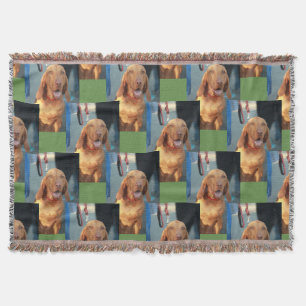 tan vizsla hound dog happy portrait throw blanket