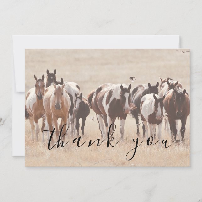 Tan White Brown Horses Flat Thank You Card (Front)