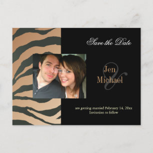Tan zebra Save the Date Photo postcards, Announcement Postcard