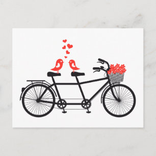 tandem bicycle with cute love birds postcard