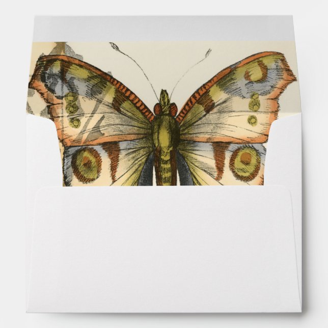 Tandem Butterflies Over Green Leaves Envelopes (Back (Bottom))