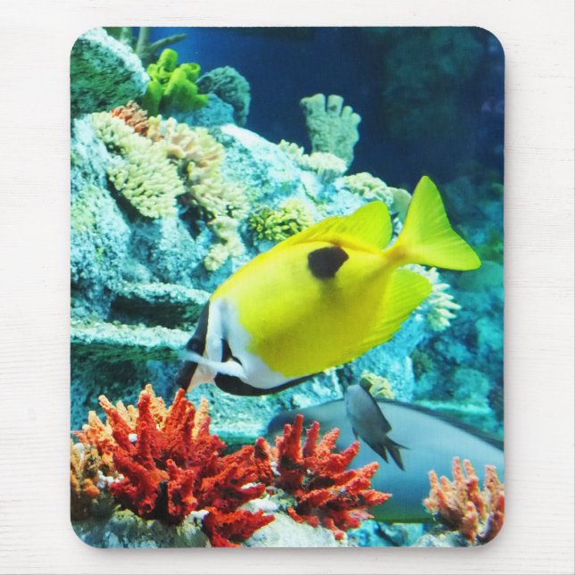 Tang Mouse Mat (Front)