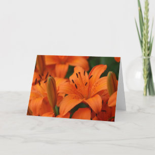 "Tangerine Beauty" Note Card