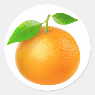 Tangerine Classic Round Sticker