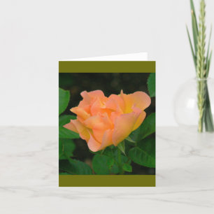 TANGERINE COLORED ROSE (PHOTOG) CARD