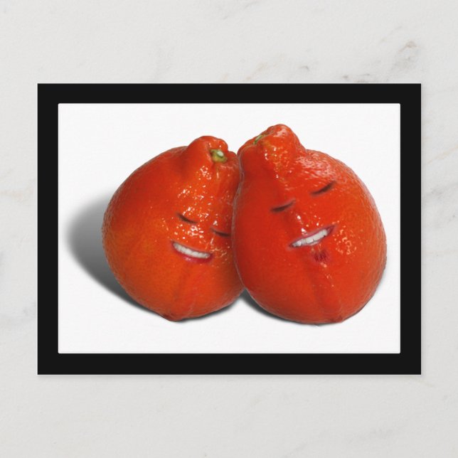 Tangerine Couple (Orange you in love, too?) Postcard (Front)