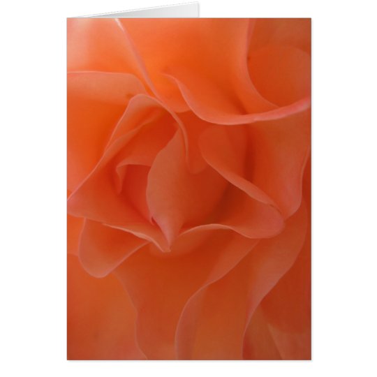 Tangerine Dream (1) Greeting Cards