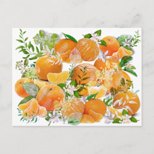Tangerine Dreams Postcard