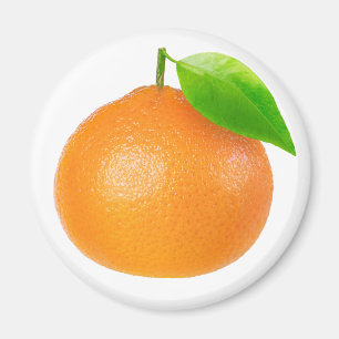 Tangerine Magnet