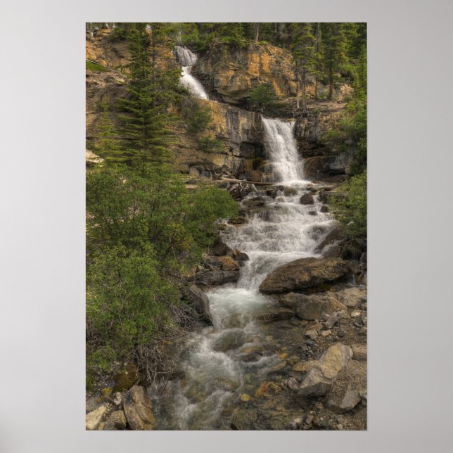 Tangle Falls Poster (Front)